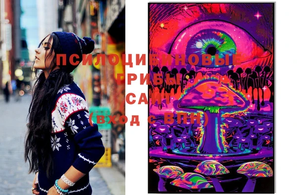дурь Алексин